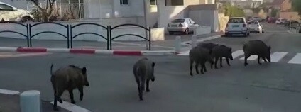 foto: worldwide news / youtube.com