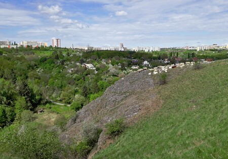 Pastva na území Prahy patří mezi historické způsoby údržby zeleně. Kontinuita byla naposledy na delší dobu přerušena po druhé světové válce. Obnovena byla v roce 2000, kdy se po loukách zase začala pohybovat stáda ovcí a koz, v roce 2012 k nim přibyly jalovice. / Na obrázku pastva na Butovickém hradišti