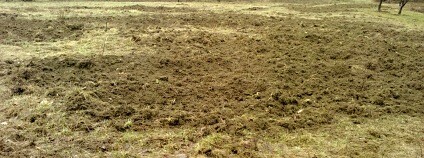 Foto: Karel Zvářal