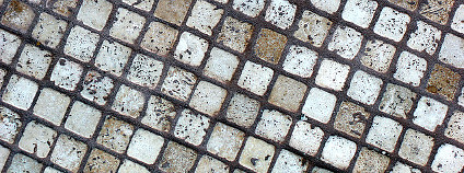 Foto:  Darren Hester / Flickr