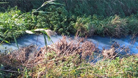 Bořetice na Břeclavsku podle České inspekce životního prostředí (ČIŽP) dlouhodobě vypouštěly nadměrně znečištěné odpadní vody do potoka Járek a říčky Trkmanky.