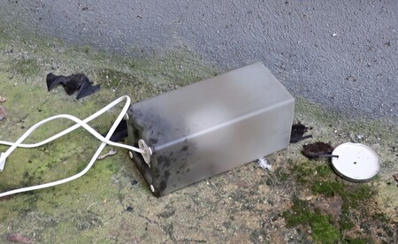 Na obrázku je případ z 23. srpna, kdy se na dvorku domu Dobrovského 19 v Plzni našla skleněná stolní lampička se 48 uhynulými a 16 živými netopýry hvízdavými.