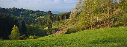 Přírodní památka Dobšena Foto: Jiří Komárek / Wikimedia Commons