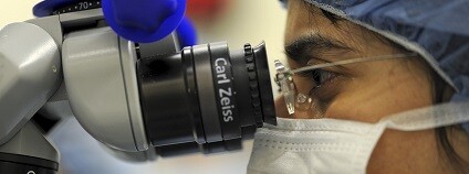 Foto:  skeeze / pixabay.com