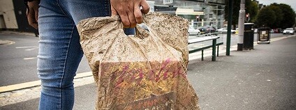 Foto: University of Plymouth / www.sciencealert.com