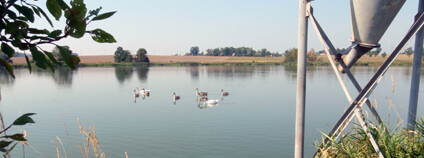 Foto: Jindřich Duras