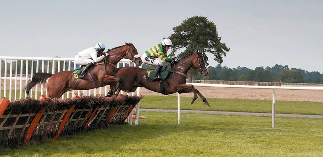 Dlouhodobá fyzická aktivita u závodních koní způsobuje poškození jejich jaterních buněk, svalů, myokardu a narušuje také jejich metabolismus. Ilustrační snímek.