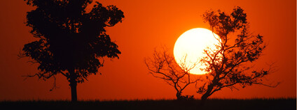 Slunce. Foto: Jose Marques Lopes/Dreamstime Free Photo