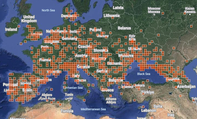 Rozšíření Gleditsia triacanthos na území Evropy. Tato mapa pozorování byla aktuální ke dni 6.8.2024.