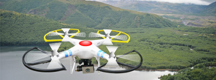 Foto: Jonathan Lingel / Shutterstock