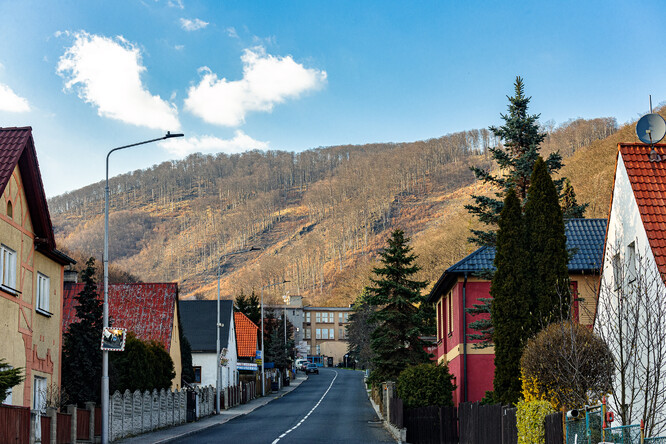 Kácení v Mariánském údolí - duben 2023.