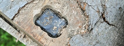 Foto: Ibra Ibrahimovič  / Greenpeace