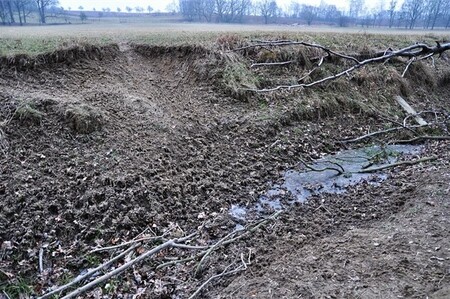 Břehy vodního toku poškozené pohybem enormního počtu chované zvěře (II. zóna CHKO Poodří)