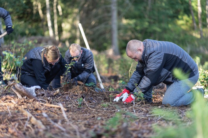 Dobrovolníci sází druhově pestrý les.