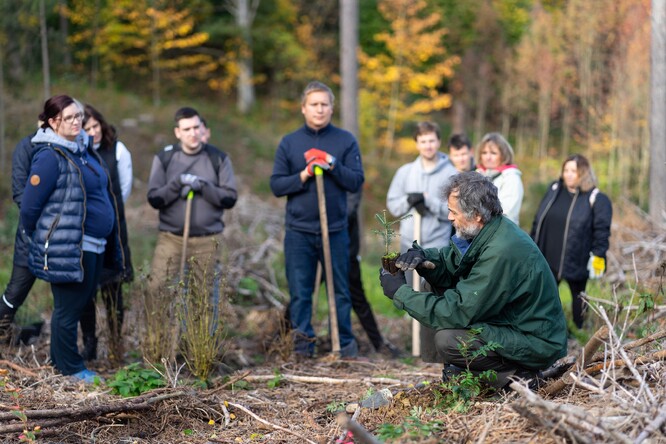 Nevíte, jak strom vysadit? Dozvíte se to.