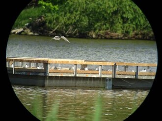 Umělý plovoucí ostrov pro rybáky na Břeclavsku.