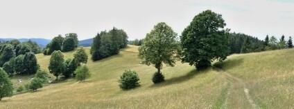 Foto: Lukáš Spitzer / Biologické centrum AV ČR