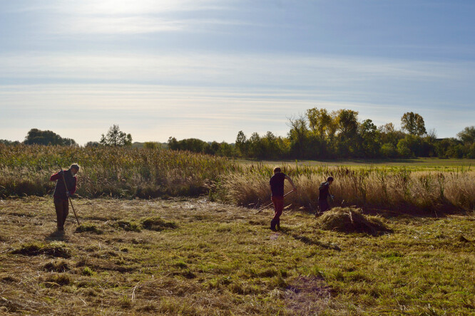 Samo se to neudělá.