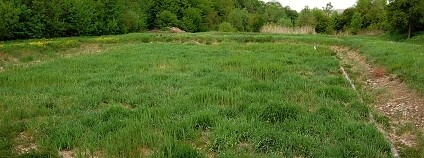 Foto: Martin Mach Ondřej / Ekolist.cz