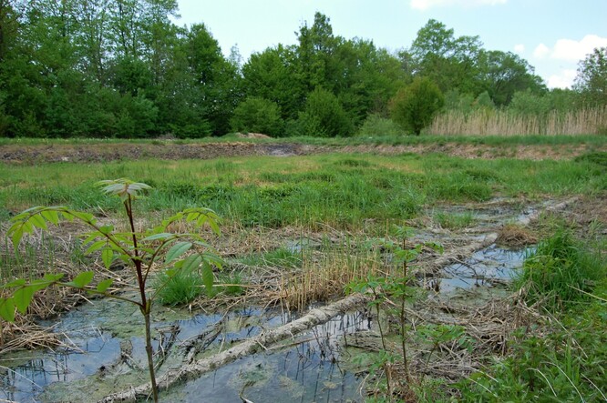 Kořenová čistírna odpadních vod v Hostětíne, rok 2009. Kořenová čistírna odpadních vod v Hostětíne, rok 2009.