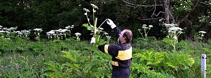 Foto: Zdislava Melicharová