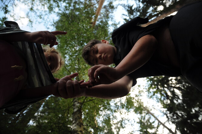 Ilustrační snímek výukového programu v lese.