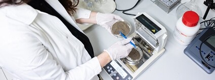 Laktobacily mohou usnadnit kompostování gastroodpadu Foto: Mendelova univerzita v Brně