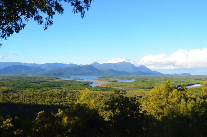 Australský prales. Australský prales.