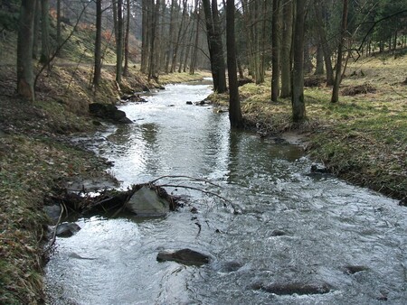 Sucho je katastrofické a hrozí, že budeme čelit vysychajícím řekám.