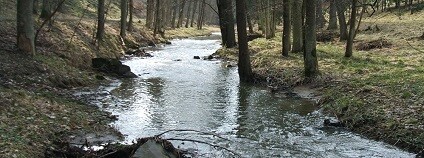 Foto: Miroslav Hruška Tisem / archiv autora
