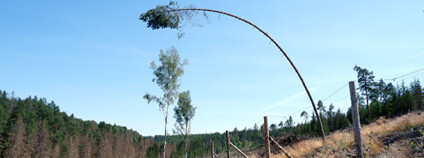 Ilustrační foto: Zdeňka Kováříková / Ekolist.cz