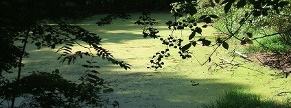 Foto: Miroslav Hruška Tisem / archiv autora