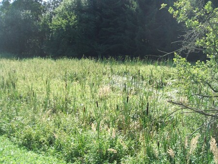 Cesta vody do obce Tisem.