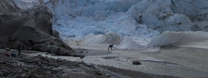 Foto: Diatoms in Cryospheric Ecosystems