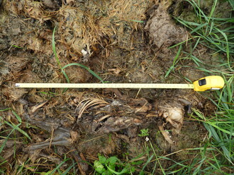 Zaevidovat, nafotografovat, nahlásit.