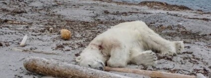 foto: Wochit News / youtube.com