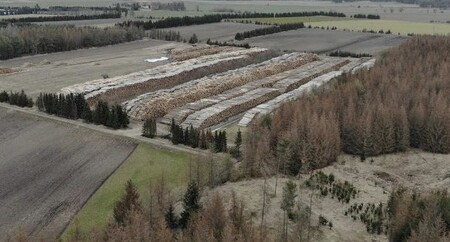 Lesy České republiky nestíhají podle skautů kalamitní stav řešit. / Na snímku tábořiště Valdíkov, skladiště vytěženého dřeva, stav jaro 2019.