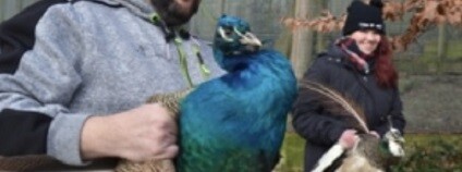 foto: www.zoodecin.cz