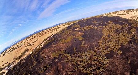 Podle správců parku by příroda požárem neměla utrpět zásadní škody.