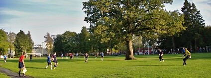 Foto: Elina Kalm Evropský strom roku