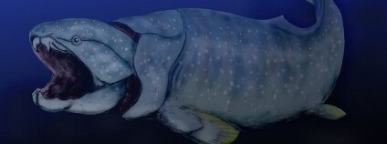 Pancířnatci (nebo také pancířnatí) permské vymírání nepřežili. Foto: Nobu Tamura / Wikimedia Commons