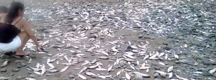 Foto: Alirio Uribe Muñoz