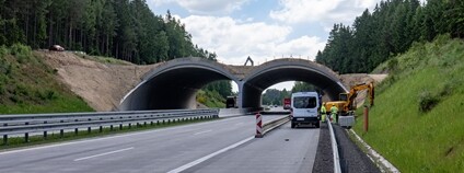 Ekodukt u Humpolce Foto: Ředitelství silnic a dálnic / Facebook