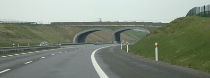 Ekodukt na D3 u Sobělavi Foto: Aktron Wikimedia Commons