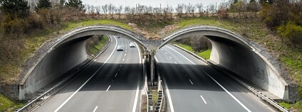 Foto: Tomáš Hlaváč / Mapy.cz
