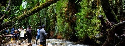 MENDELU koordinuje projekt pro udržitelné hospodaření v Amazonii Foto: Mendelova univerzita