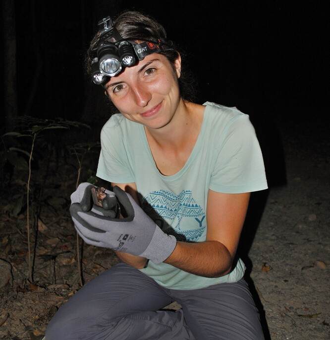 Elise Sivault vypouští hmyzožravého netopýra, kterého odchytila během průzkumu diverzity netopýrů na studijních plochách.