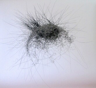 Envelopes Dimitri Nikitina: Výsledek technologických procesů připomíná růst rostlin či některých krystalů.