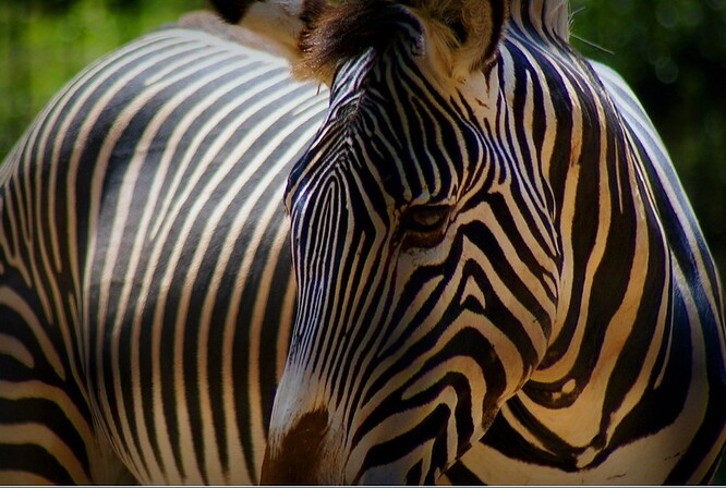 Ilustrační foto Ilustrační foto