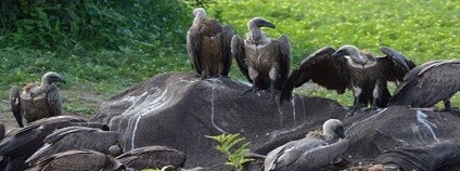 foto: Hot News US / youtube.com